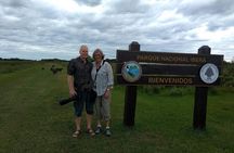 Iberá Wetlands Safari