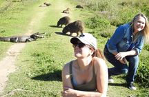 Iberá Wetlands Safari