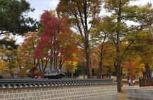Jeonju City tour by KTX bullet Train from Seoul