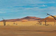 5 Days Swakopmund and Sossusvlei | Guided Lodge