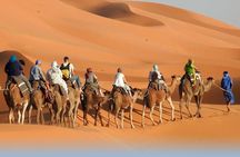 4 Days Desert Experience from Casablanca