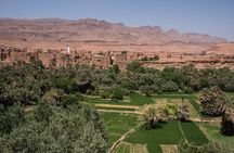 4 Days Desert Experience from Casablanca