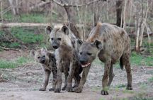 4 Day Tanzania Luxury Safari