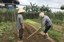 Hoi An Rural Life And Cooking At Organic Farm