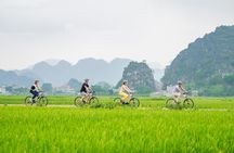 Ninh Binh Highlights Hoa Lu/Bai Dinh-Trang An/ Tam Coc- Mua Cave 
