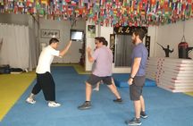Small Group 2-Hour Kungfu Lesson in Chengdu