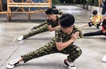 Small Group 2-Hour Kungfu Lesson in Chengdu