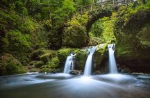 Luxembourg: Nature & Castle Day Trip