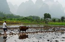 Li River Cruise with bamboo Rafting & Xianggong Hill Private Tour