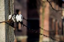 Auschwitz-Birkenau Memorial and Museum with Private Transfers from Krakow