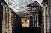 Auschwitz Birkenau and Salt Mine Full Day Guided Tour from Krakow hotel pick up