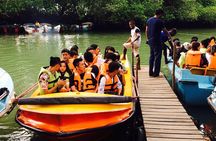 Madu River Boat Cruise From Colombo