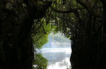 Madu River Boat Cruise From Colombo