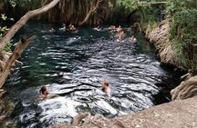 Kikuletwa (Chemka) Hot Springs Day Tour