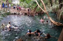 Kikuletwa (Chemka) Hot Springs Day Tour