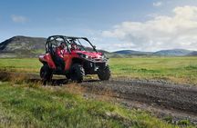 Reykjavik Buggy & Whale Watching Full-Day Adventure