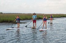 2-Hour Charleston Stand-Up Paddleboard Rentals