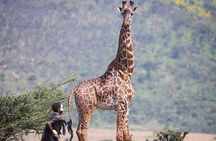 Visit the Masai Market