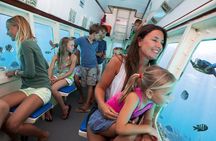  Aruba Semi-Submarine Cruise from Palm Beach