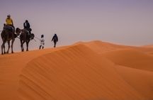  Desert Trip from Fes to Fes via Merzougua (2days,1night)