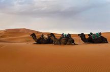  Desert Trip from Fes to Fes via Merzougua (2days,1night)