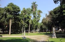 Selarón Steps, Lapa, Cinelândia & Historic Santa Teresa Tram Tour