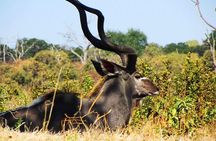 3 Day Chobe National Park Camping Safari