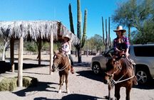 Baja Desert Horseback Riding Tour 