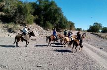 Baja Desert Horseback Riding Tour 