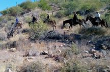 Baja Desert Horseback Riding Tour 
