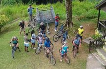 Blue Mountain Bicycle Tour from Montego Bay