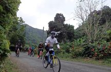 Blue Mountain Bicycle Tour from Montego Bay