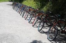 Blue Mountain Bicycle Tour from Runaway Bay