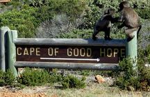 Cape of Good Hope, Cape Point & Penguins Private Afternoon Tour