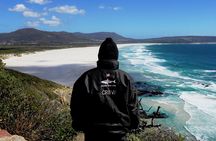 Cape of Good hope, Cape Point & Penguins, Private Morning Tour