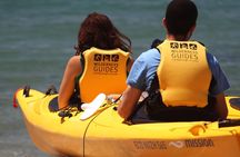 Full Day Kayak & Walk Tour-Queen Charlotte Sound & Link Pathway 