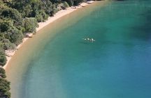 Full Day Kayak & Walk Tour-Queen Charlotte Sound & Link Pathway 