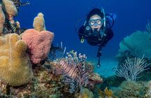 Private Bayahibe 3 Tank Diving with Lunch from Punta Cana 