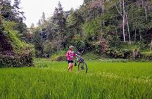 The Volcano Trail