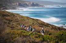 8-Day Cape to Cape Track Guided Walking Tour from Perth