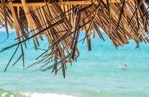 Private Custom Tour of Martinique