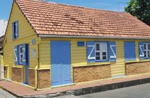 Private Custom Tour of Martinique