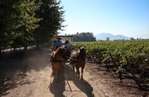 Viu Manent and Montes Winery, Colchagua Valley from semi-private