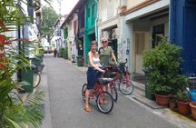 Singapore Full-Day Bike & Food Tour ( Private Tour ) 