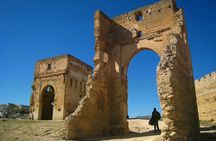 Fez Ramparts King palace jewish Quarter Merinides Tour tanneries