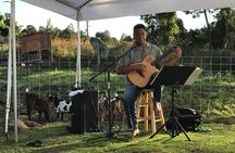 Sunset Maui Goat Yoga with Live Music