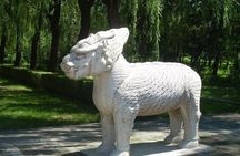 Mutianyu Great Wall and Ming Tomb Private Tour with English speaking driver