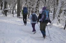 Snow excursion in Bariloche - Suitable for the whole family