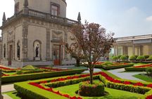 The Castle of Chapultepec Semi Private Walking Tour