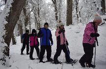 Snow excursion in Bariloche - Suitable for the whole family